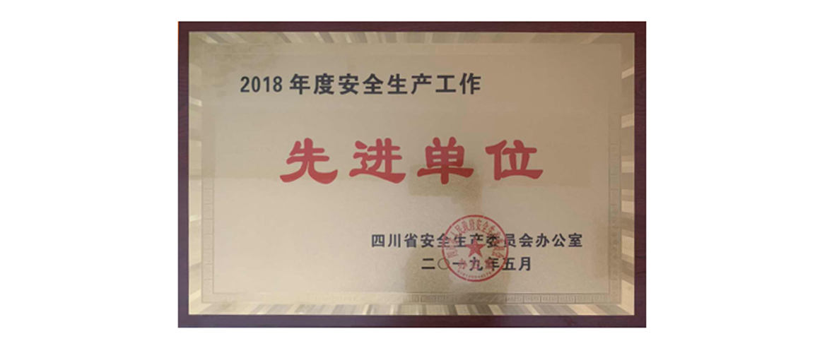 尊龙凯时集团获评2018年度安全生产先进单位
